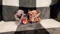 Batty Beanie Baby Bat Brown and Tie-dye, Gift for Bat Lovers, Gift for Future Chiropterology Students, Gift for Christmas, Gift for Birthday