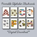 ABC Flashcards with Filled Letters | Printable Educational Learning Toys for Kids & Toddlers | Colorful Alphabet Cards for Early Learning
