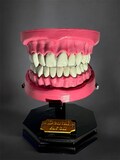 Realistic Upper and Lower Dental Arch - Mouth Replica