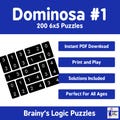 200 6x5 Dominosa Puzzles Volume #1 With Solutions Digital Download PDF Print And Play Brain Teasers For All Ages